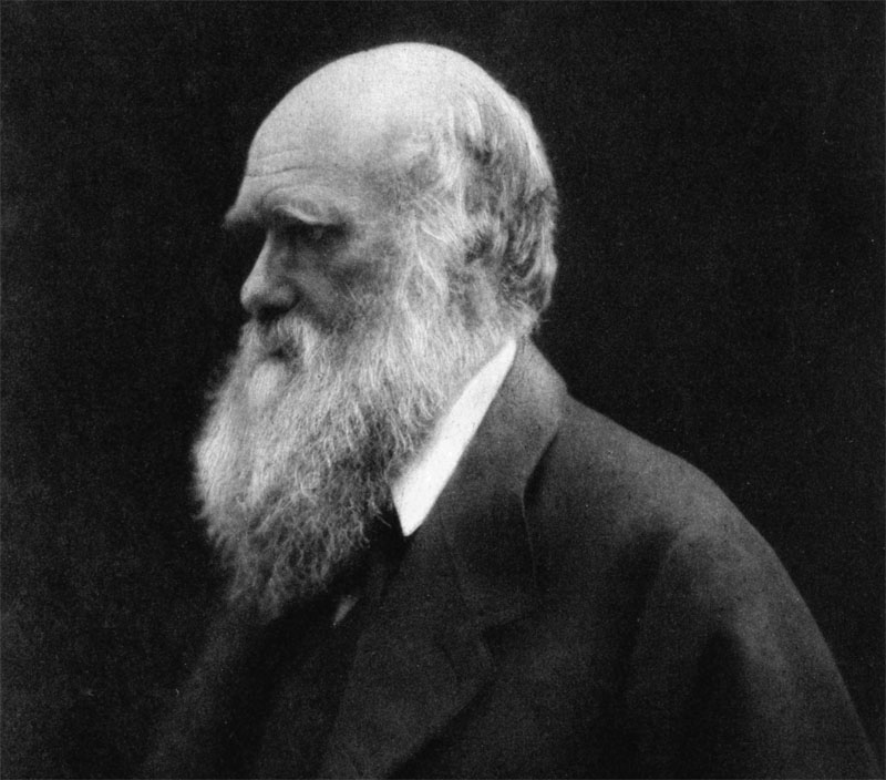 Darwin and the Origin of Species / Historical Association