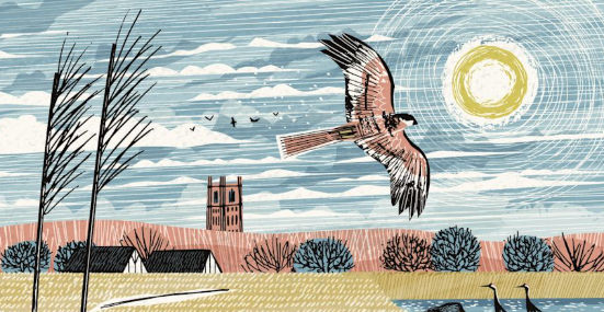 Cuckoo's Lea cover Michael J Warren - A bird flying over a field